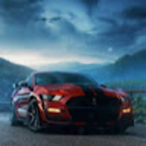 Meet your Posher, Rayan